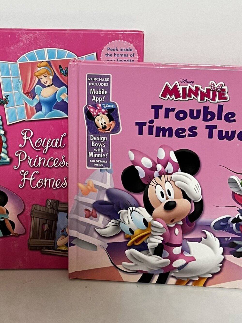 DISNEY Minnie and DISNEY Princess BOOKS Lot of 2 - Hardcover -Preowned